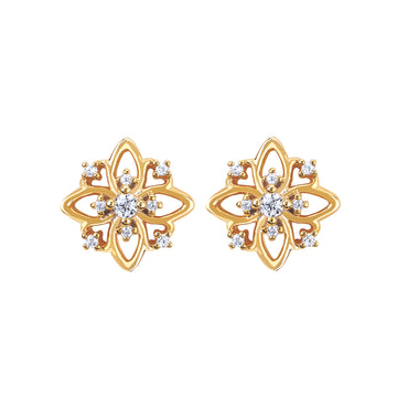 EARRINGS  RD V 0.1